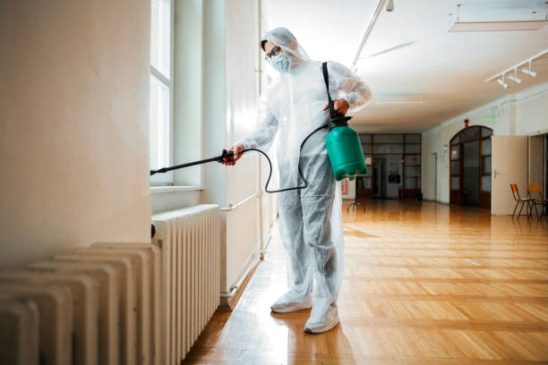 Best Rat Extermination Near Me  in Diberville, MS